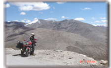 Trans Himalayan Safari